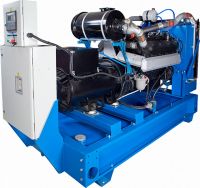 АД-250С-Т400-1РМ2 (Engga) в контейнере с АВР